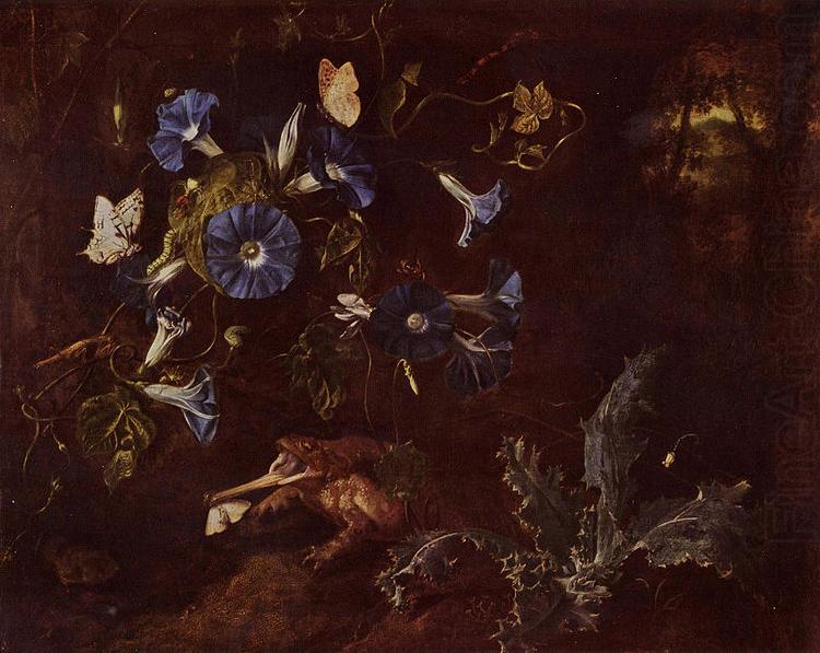 SCHRIECK, Otto Marseus van Blaue Winde Kroe und Insekten china oil painting image